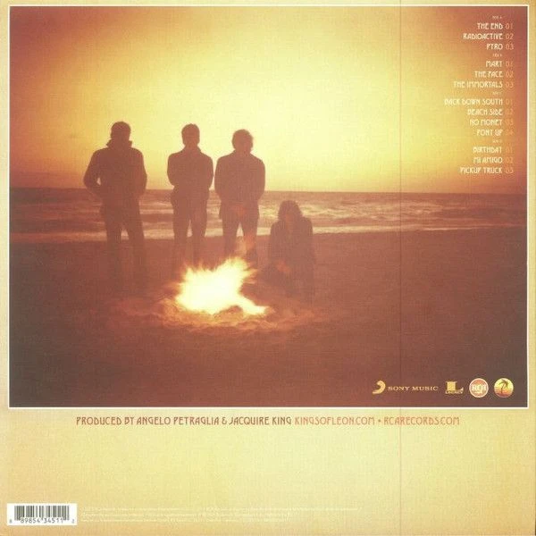 Виниловая пластинка KINGS OF LEON COME AROUND SUNDOWN
