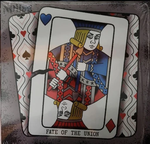 Виниловая пластинка NOI!SE FATE OF THE UNION COLORED VINYL EDITION