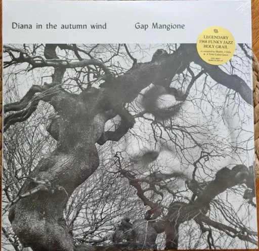 Виниловая пластинка GAP MANGIONE DIANA IN THE AUTUMN WIND