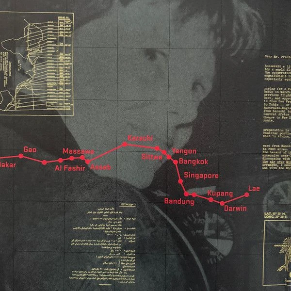 Виниловая пластинка LAURIE ANDERSON AMELIA