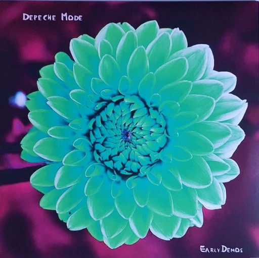 R-30844344-1717264484-8493