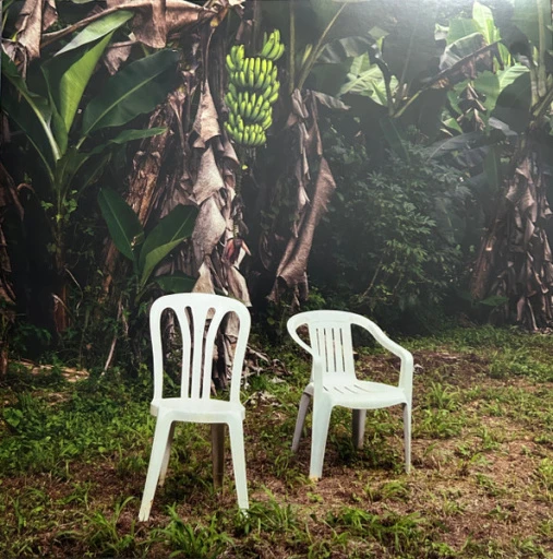 Виниловая пластинка BAD BUNNY  DEDI TIRAR MAS FOTOS