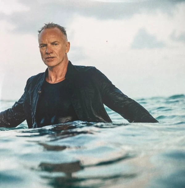 Виниловая пластинка STING THE BRIDGE DELUXE EDITION