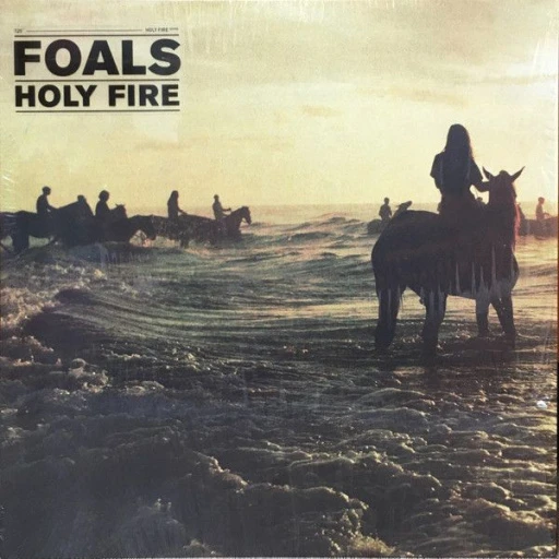Виниловая пластинка FOALS HOLY FIRE