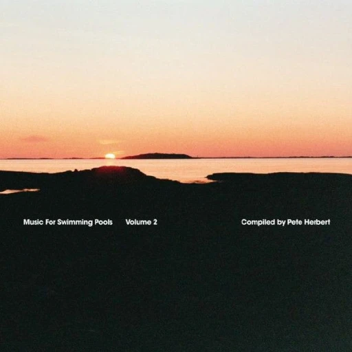 Виниловая пластинка VARIOUS MUSIC FOR SWIMMING POOLS VOLUME 2 PETE HERBERT REMIXES