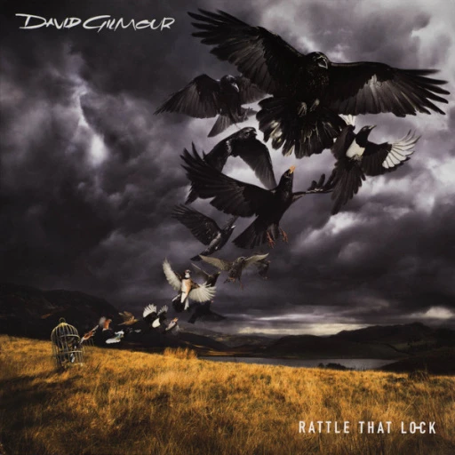 Виниловая пластинка DAVID GILMOUR RATTLE THAT LOCK