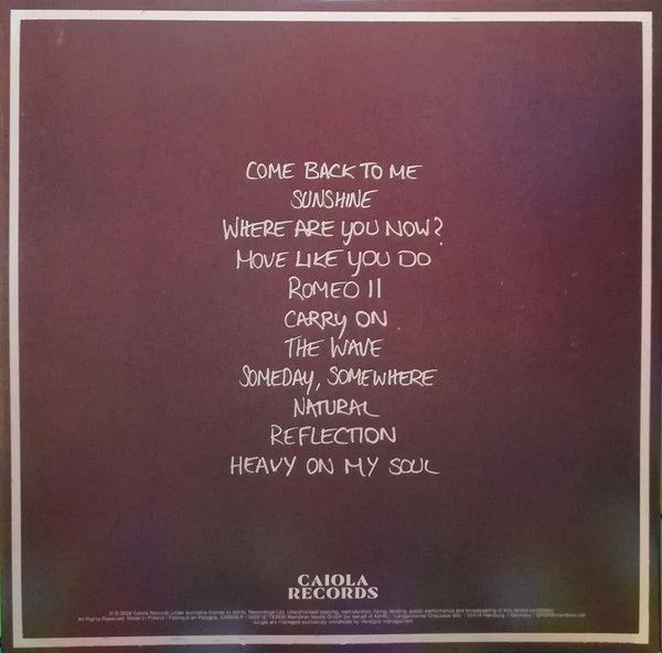 Виниловая пластинка JUNGLE SUNSHINE BLACK VINYL EDITION