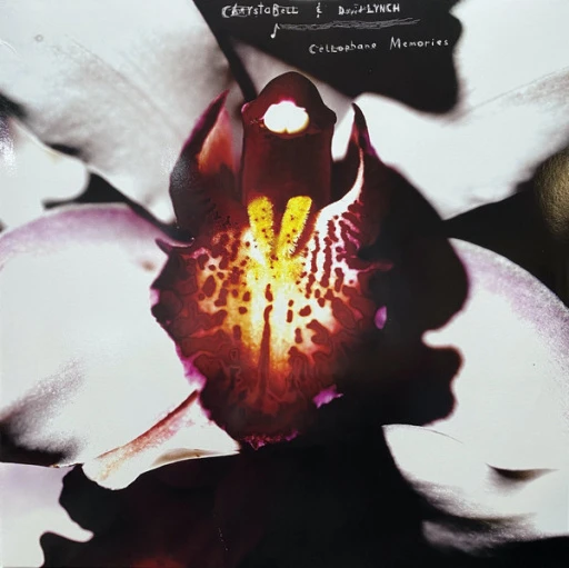 R-31378811-1724165166-1423