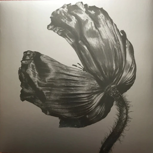 R-10533346-1501246266-6622