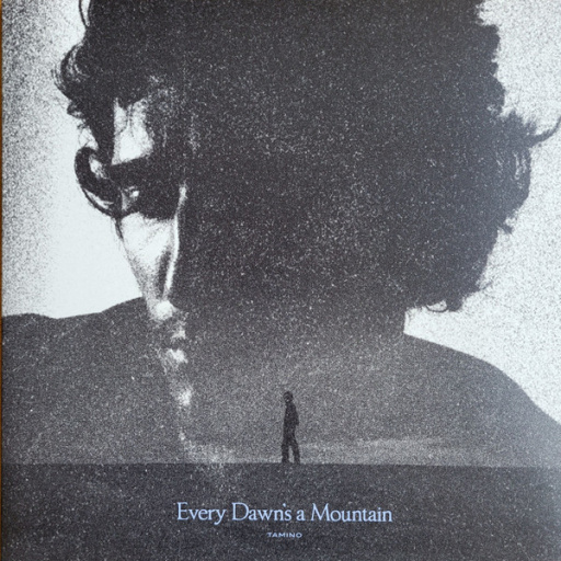 Виниловая пластинка TAMINO EVERY DAWNS A MOUNTAIN