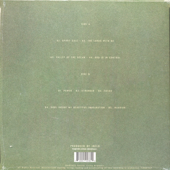 Виниловая пластинка SAULT EARTH
