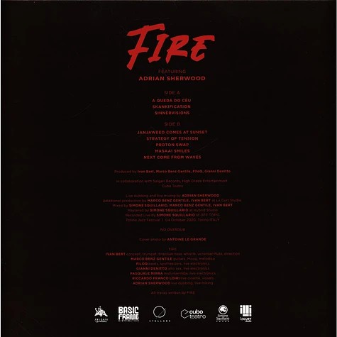 Виниловая пластинка FIRE FEAT ADRIAN SHERWOOD FIRE