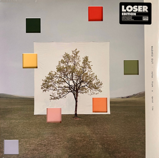 Виниловая пластинка WASHED OUT NOTES FROM A QUIET LIFE