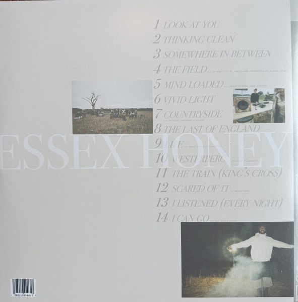 Виниловая пластинка BLOOD ORANGE ESSEX HONEY